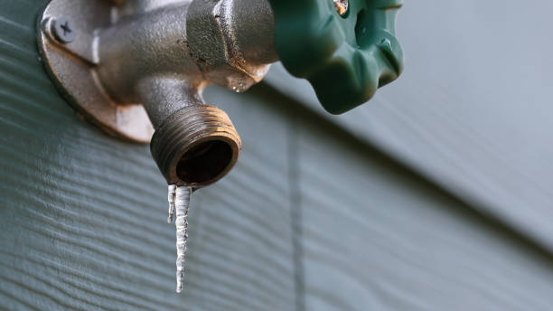 Best Plumbing Inspection Services  in Asheville, NC